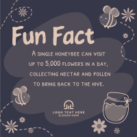 Bee Day Fun Fact Instagram Post