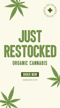 Cannabis on Stock Video