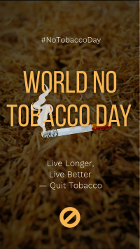 No Tobacco Day Instagram Reel