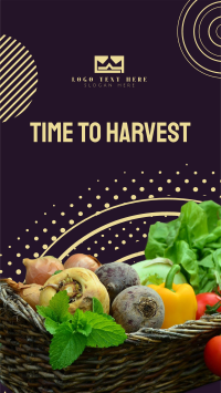 Harvest Vegetables Instagram Story