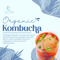 Probiotic Kombucha Instagram Post Image Preview