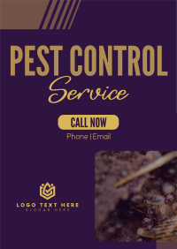 Professional Pest Control Flyer