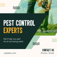 Pest Control Experts Instagram Post Image Preview