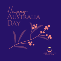 Golden Wattle  for Aussie Day Instagram Post Design