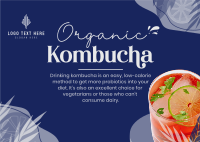 Probiotic Kombucha Postcard