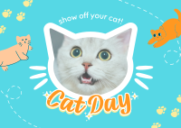 Show off your cat! Postcard