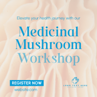 Minimal Medicinal Mushroom Workshop Instagram Post