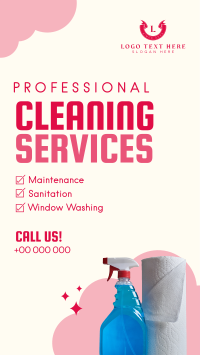 Professional Cleaning Services Instagram Story