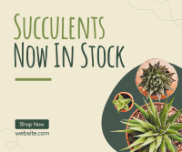 New Succulents Facebook Post