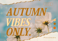 Autumn Vibes Greeting Postcard Image Preview