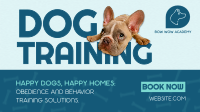 Dog Training Service Animation
