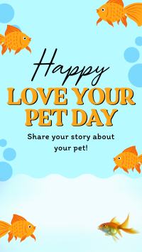 Bubbly Pet Day YouTube Short