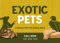 Exotic Vet Consultation Postcard