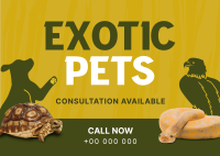 Exotic Vet Consultation Postcard Design