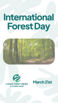 Forest Day Greeting TikTok Video