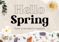 Hello Spring Postcard