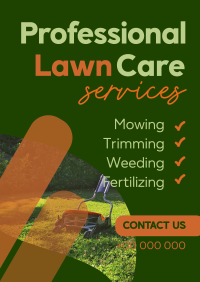 Professional Lawn Care Services Flyer