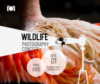 Wildlife Photography Contest Facebook Post