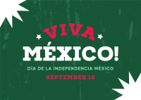 Viva Mexico Flag Postcard