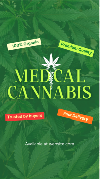 Trusted Medical Marijuana YouTube Short