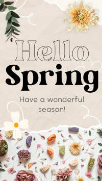 Hello Spring YouTube Short