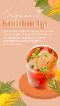 Probiotic Kombucha YouTube Short