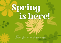 Spring New Beginnings Postcard