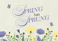 Spring Has Sprung Postcard Design