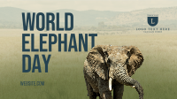 World Elephant Day Facebook Event Cover