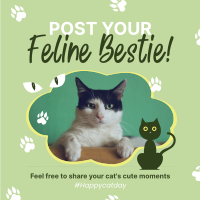 Cat Appreciation Post Instagram Post