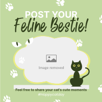 Cat Appreciation Post Instagram Post