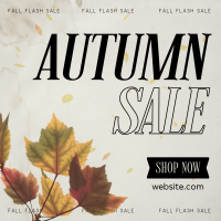 Autumn Saving Sale Instagram Post