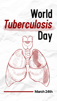 Tuberculosis Day Instagram Story