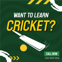 Time to Learn Cricket Instagram Post