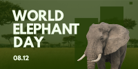 World Elephant Celebration Twitter Post