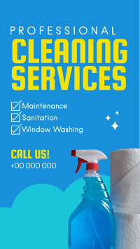 Professional Cleaning Services Instagram Story