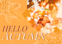 Autumn Greeting Postcard