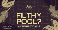 Filthy Pool? Facebook Ad