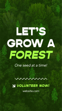 Forest Grow Tree Planting YouTube Short