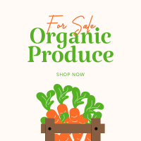 Organic Produce For Sale Instagram Post