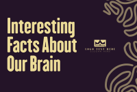 Fun Facts About Our Brain Pinterest Cover