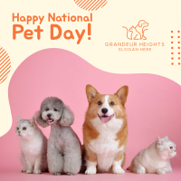 National Pet Day Instagram Post Image Preview