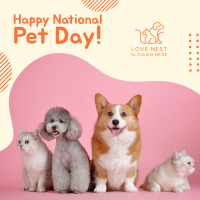 National Pet Day Instagram Post Image Preview