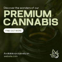 Premium Cannabis Instagram Post