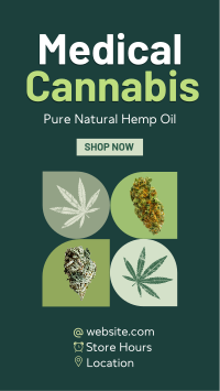 Healing Cannabinoids Facebook Story Design