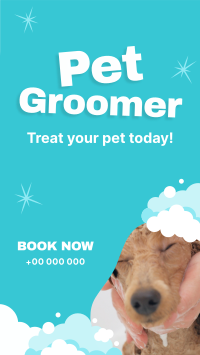 Professional Pet Groomer Facebook Story