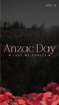 Anzac Poppies Instagram Story