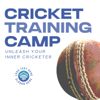 Cricket Training Camp Instagram Post Design