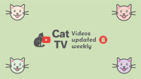 Colorful Cat Show YouTube Banner