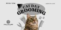 Cat Day Grooming Twitter Post